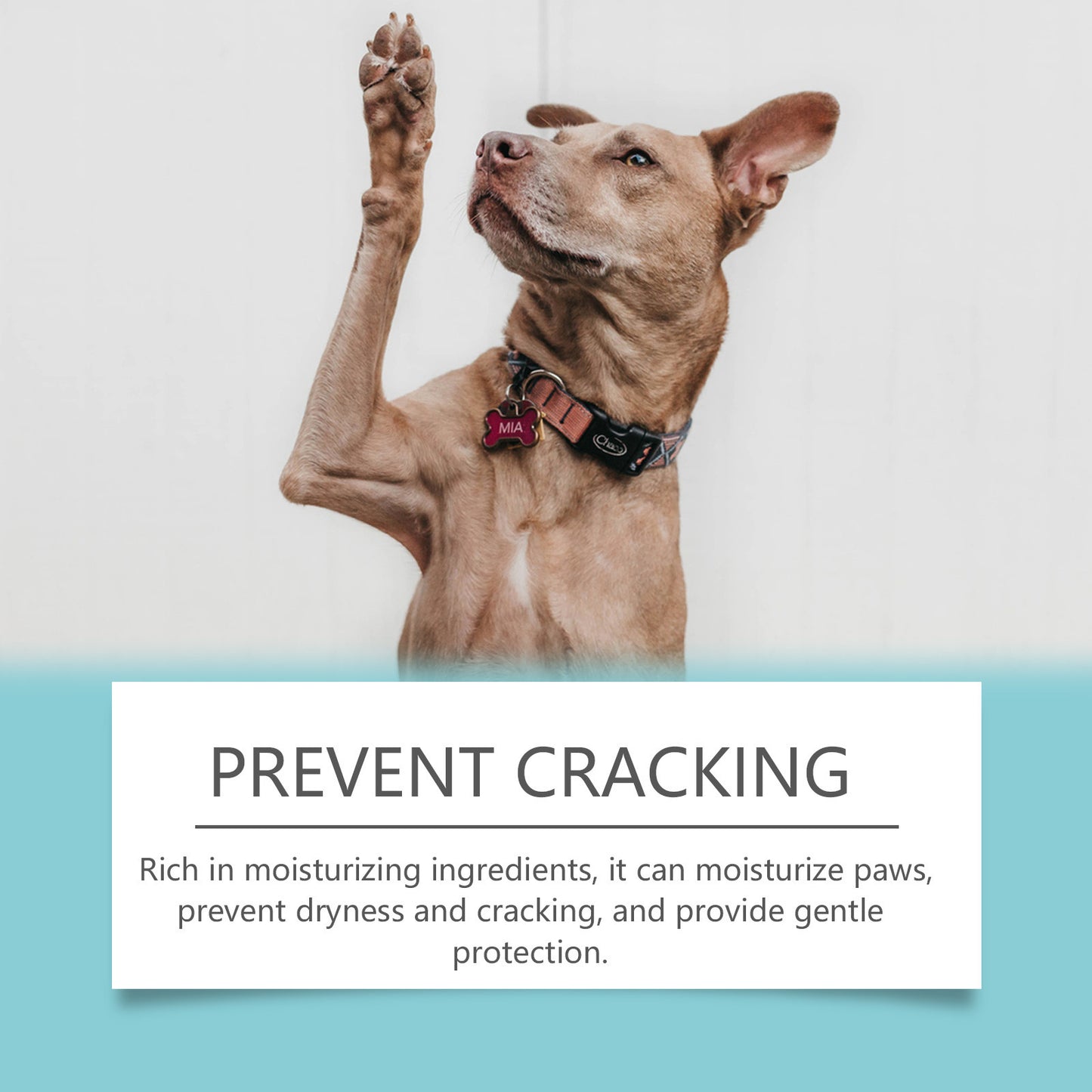 Dogs And Cats Paw Cleaner Care Moisturizing